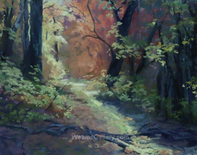 Forest Light II by Katherine Irish
